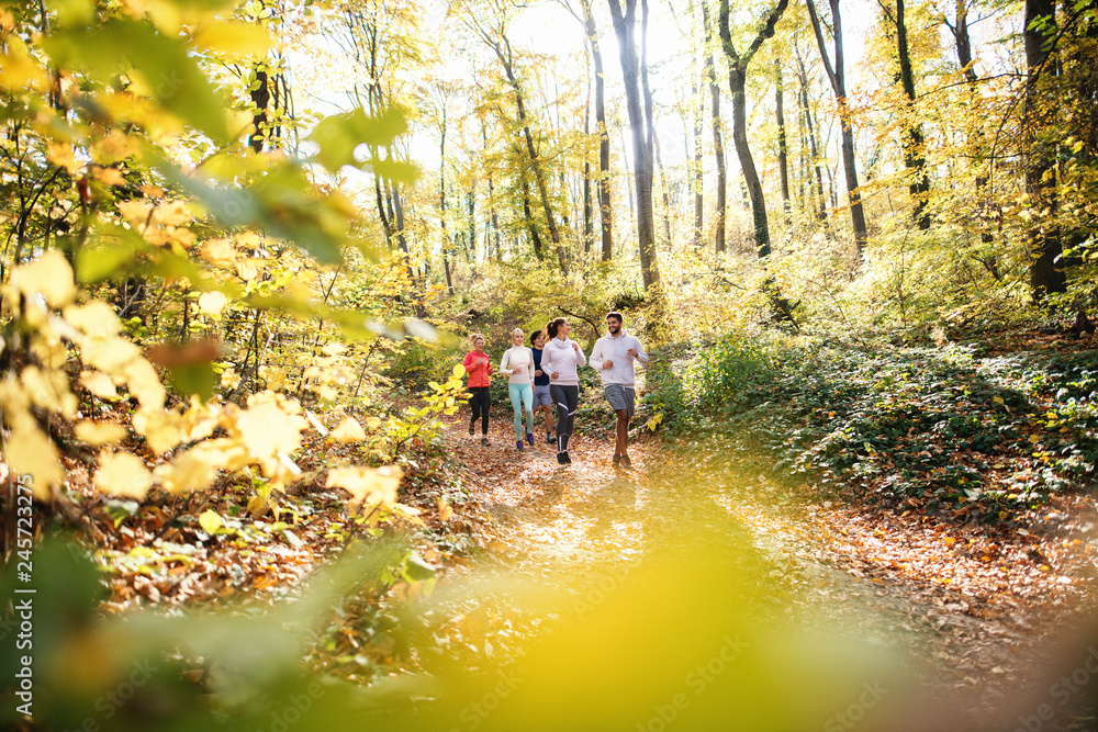 Fototapeta premium Small group of people running in woods in the autumn.