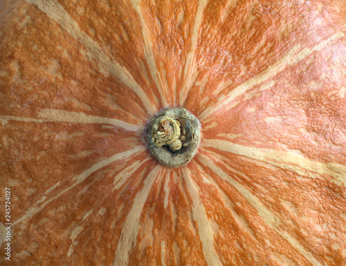 the surface of the orange striped pumpkin is photographed from a close distance.