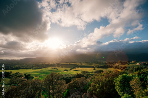 Corsica Countryside