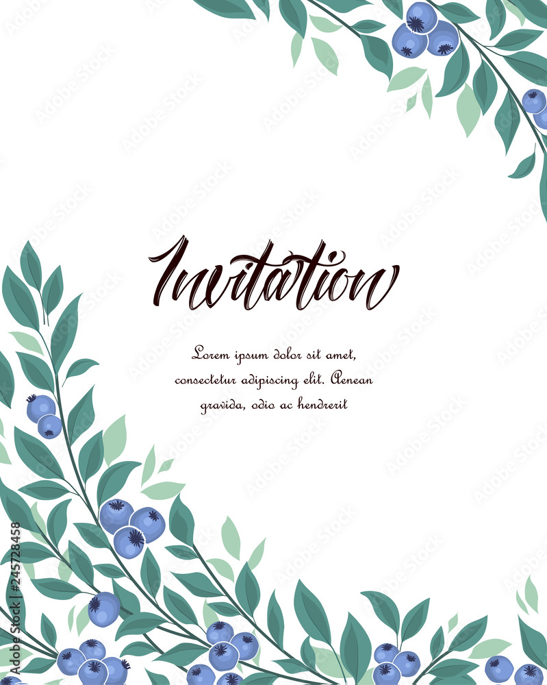 Vector illustration of blueberries fruit and leaves on a white background
