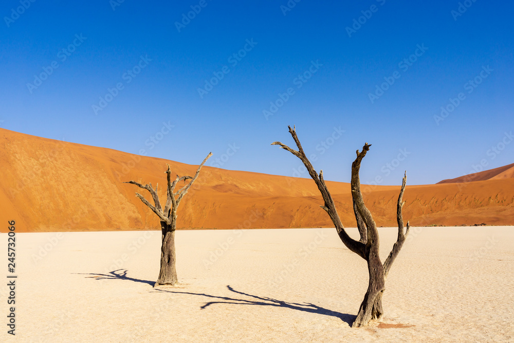 Dead Vlei, Namibia Dead Vlei , dead trees in desert,hot sun beating down on the sandy ground,red dunes in the backround,millions of tourists