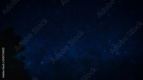 landscape and star concept from beautiful movement of star and milky way with blue background and tree foreground on autumn season