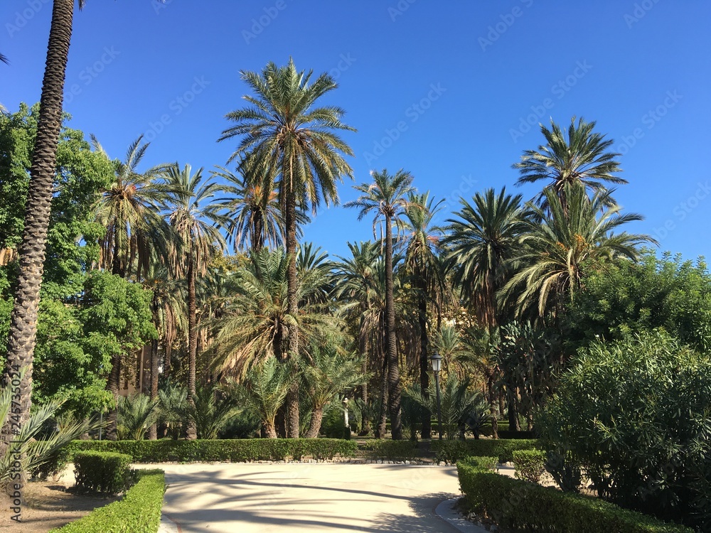 Palermo, Italy, Lovely sunny pictures from the island of Sicily Palermo, Italy, Lovely sunny pictures from the island of Sicily