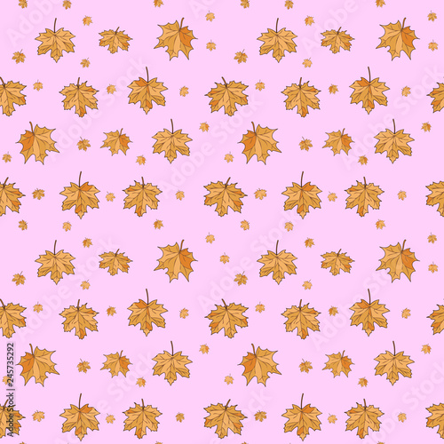 Maple leaves on pink background. Seamless pattern, hand draw, vector. 