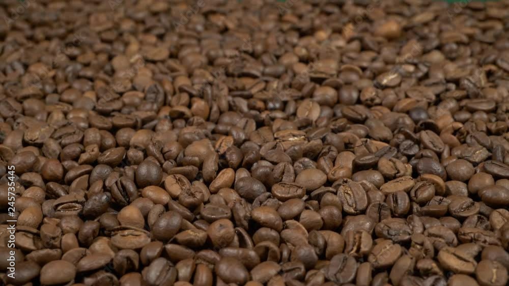 Fried of coffee beans on green screen slider shot close-up 4k apple prores 10bit Fried of coffee beans on green screen slider shot close-up 4k apple prores 10bit
