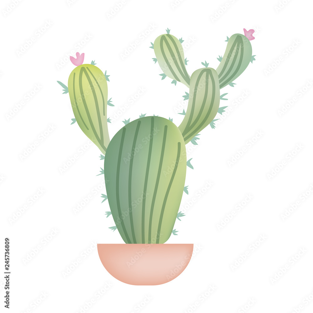 Green cactus in pot isolated on white backgound. Vector illustration. Green cactus in pot isolated on white backgound. Vector illustration.