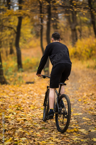 Back view of Young handsome man riding a bicycle on forest road among trees in sunset. Sports and healthy lifestyle. Trip to rainforest