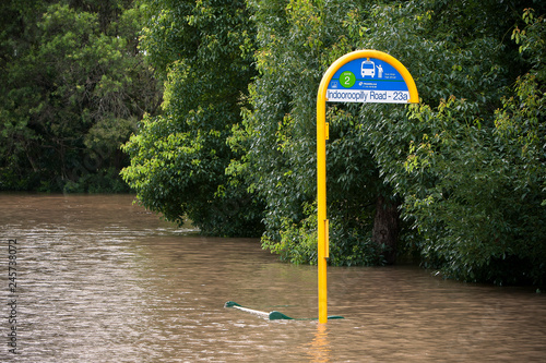 Bus Stop, Brisbane Floods 2011