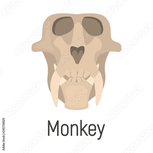 Monkey color vector icon. Flat design