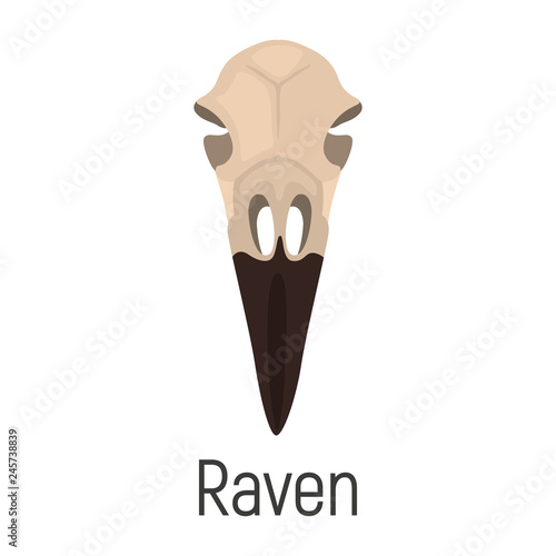 Raven skull color vector icon. Flat design