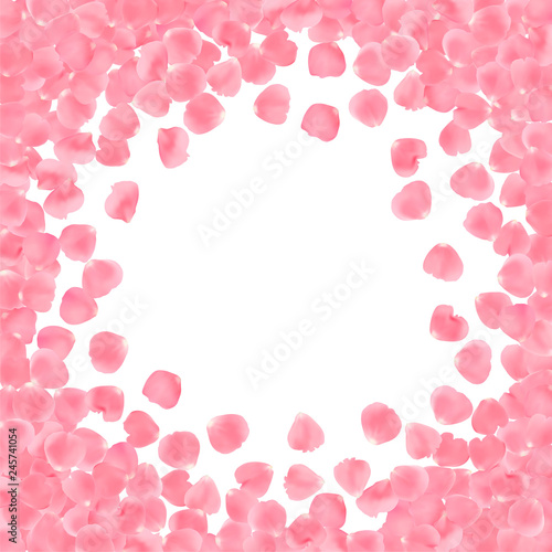 Background with realistic pink rose petals isolated on white background. © Tatsiana
