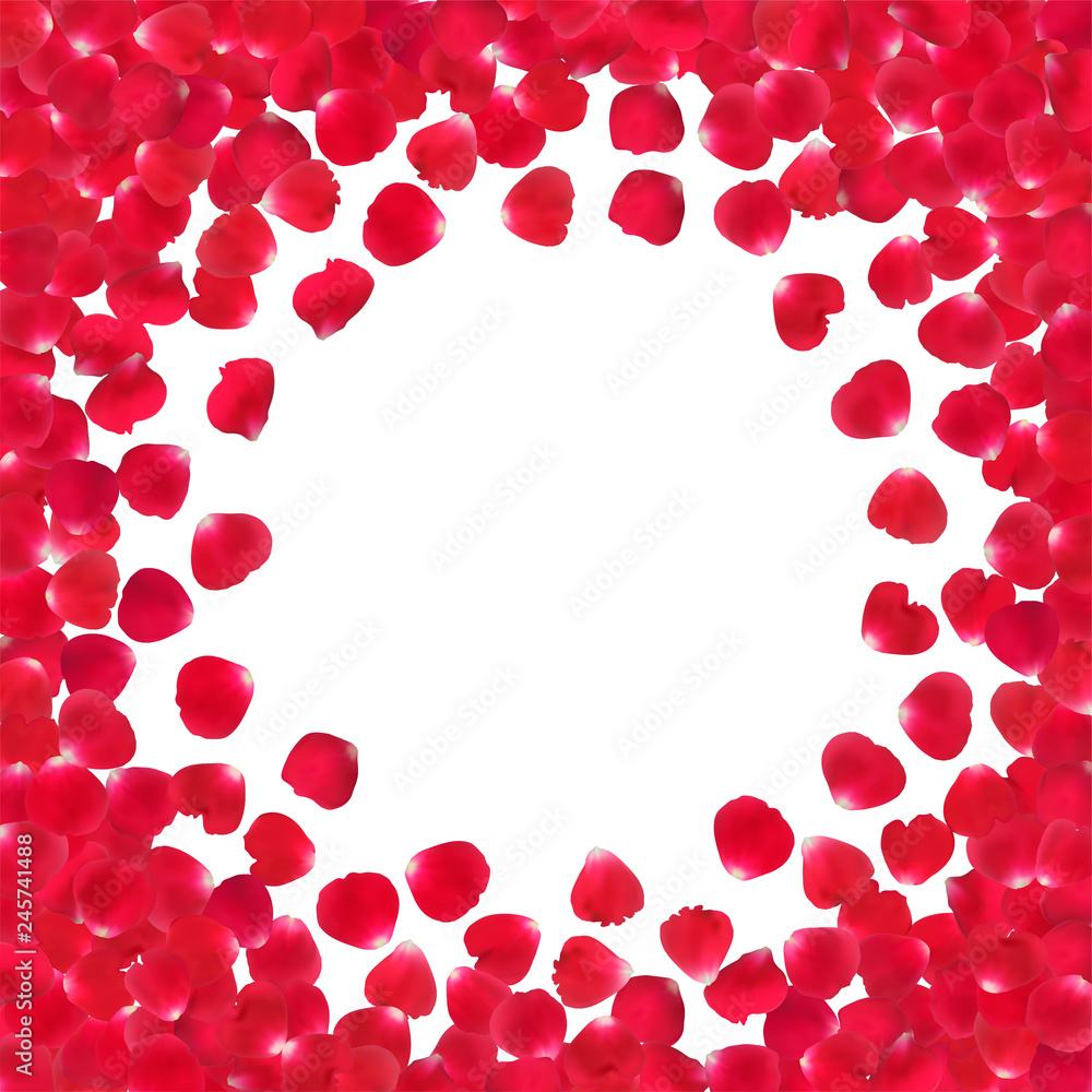 Background with realistic red rose petals isolated on white background. Background with realistic red rose petals isolated on white background.