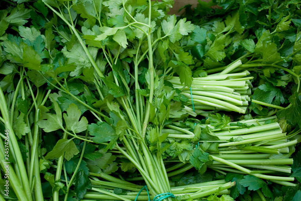 bunches of parsley, spice, ready to be sold at the local market of vegetables, food, nutrition, leaves, Milan, Italy bunches of parsley, spice, ready to be sold at the local market of vegetables, food, nutrition, leaves, Milan, Italy