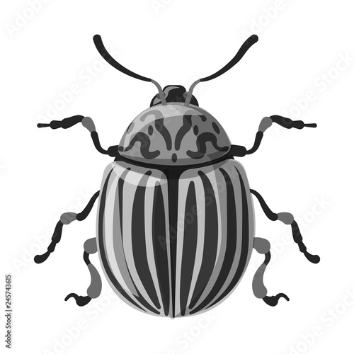 Isolated object of insect and fly sign. Set of insect and element stock symbol for web. © Svitlana