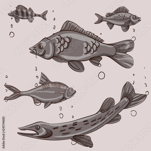 Fish and fishing equipment