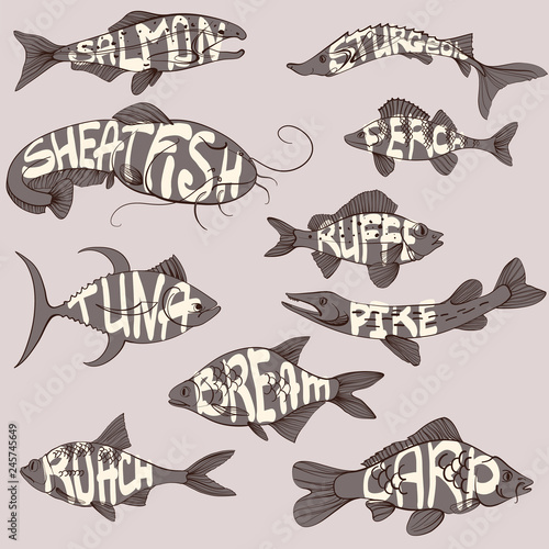 Fish and fishing equipment