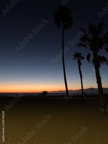 Sunset in Venice Beach