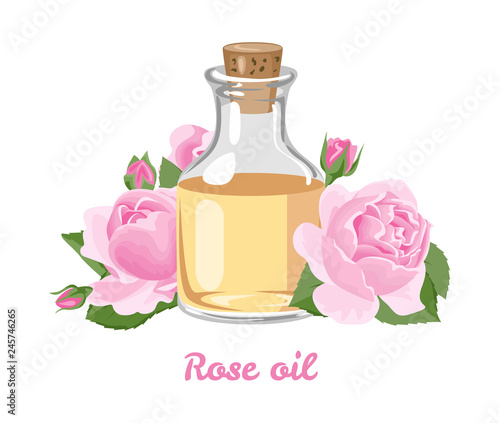Rose Essential Oil. Glass bottle with rose oil and fresh flowers isolated on white background. Vector illustration in cartoon flat style.