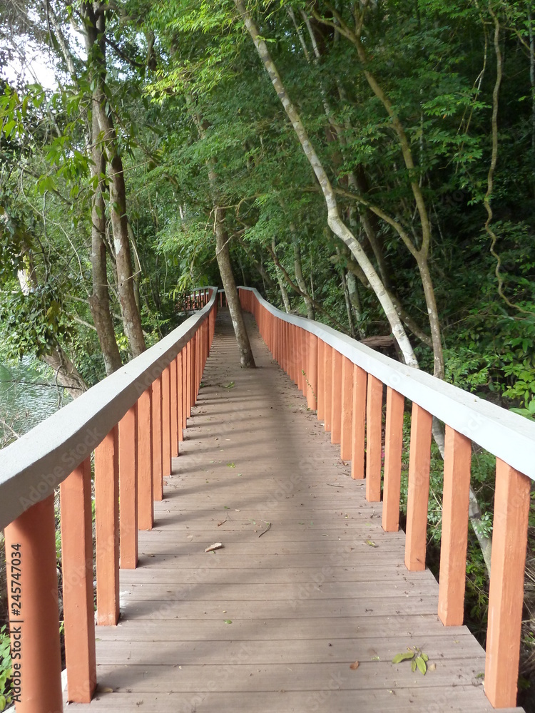 Obraz premium Brücke mit Hindernissen