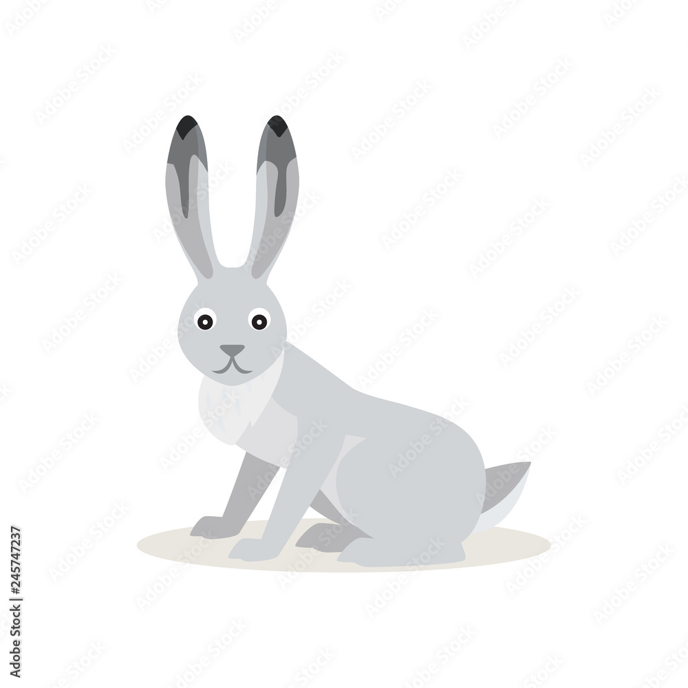 Obraz premium Icon of funny cute White Snowshoe Hare or rabbit isolated, forest, woodland animal, vector illustration for children book or decoration
