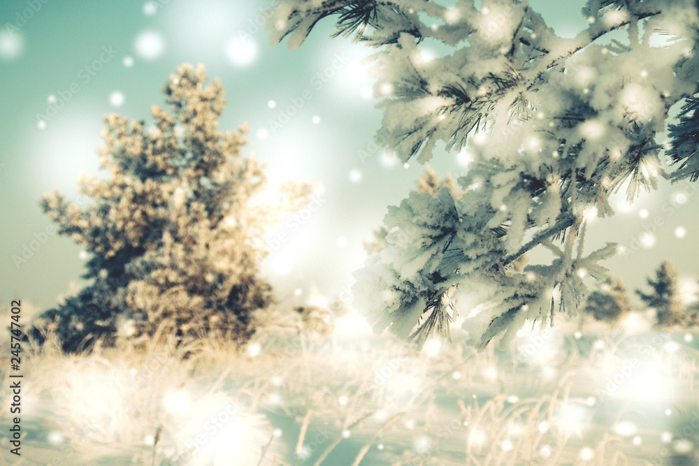 Naklejka Beauty Winter