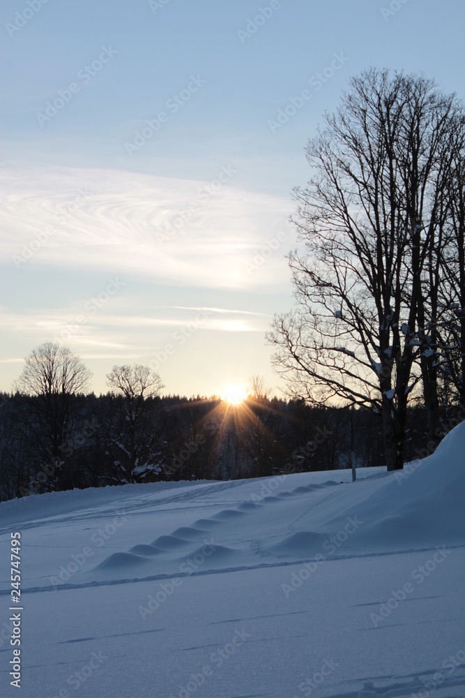 Ramsau Winter 2019 3