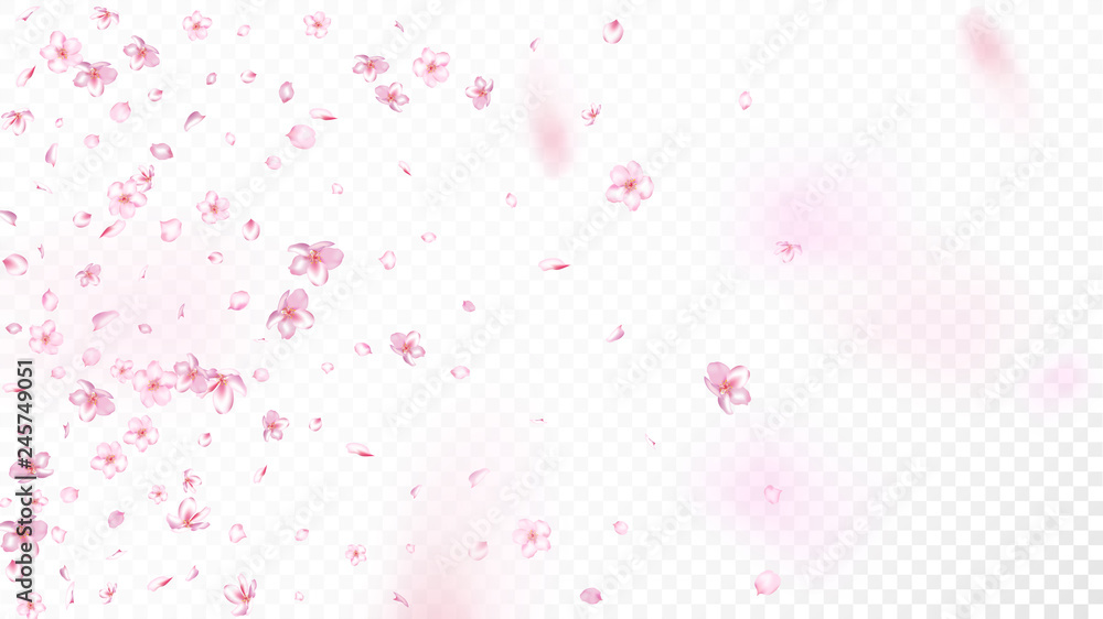 Nice Sakura Blossom Isolated Vector. Spring Blowing 3d Petals Wedding Texture. Japanese Beauty Spa Flowers Wallpaper. Valentine, Mother's Day Magic Nice Sakura Blossom Isolated on White