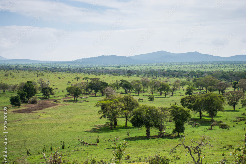 Tsavo west national park in Kenya. View on beautiful green taita hills after rain season. Kenya safari.