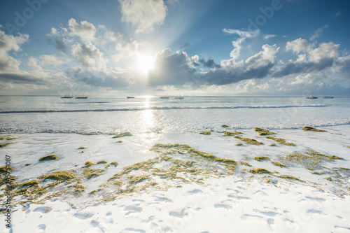 Diani beach in Kenya. Beautiful view on beach and palm tree. photo