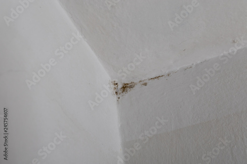 Small area of mildew in the corner of white walls indoor