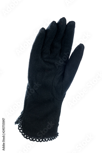 Stylish Women's Glove Isolated