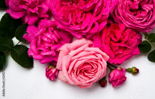 Pink roses arrangement on white background