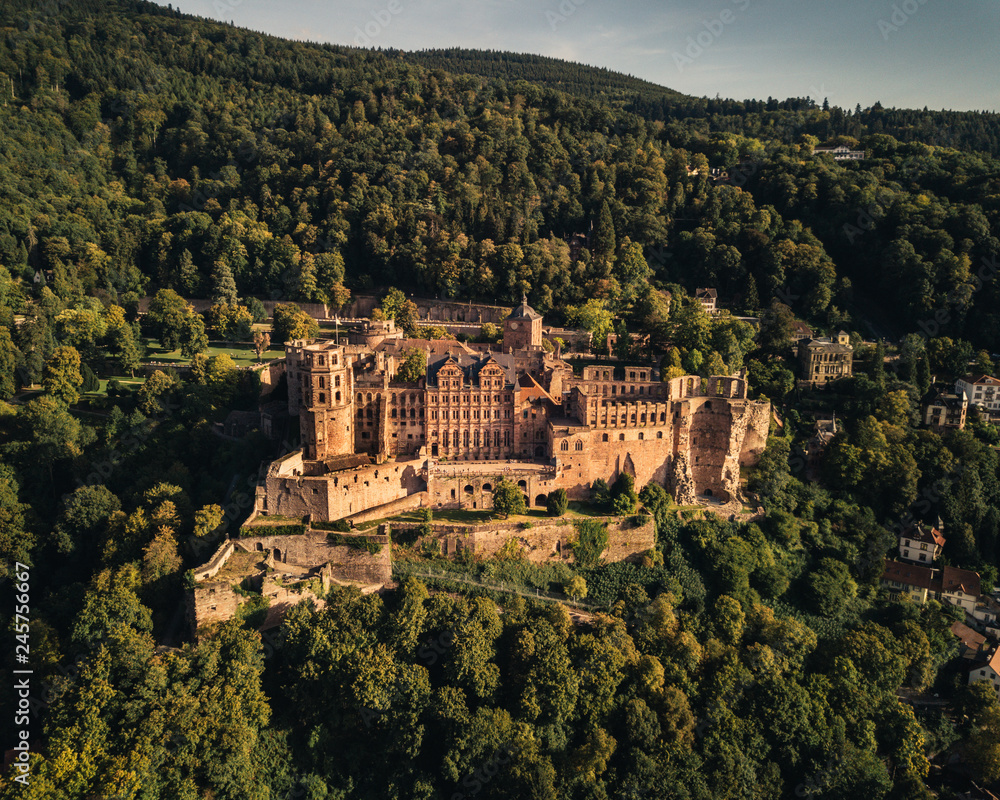 Heidelberg Schloss Sommer