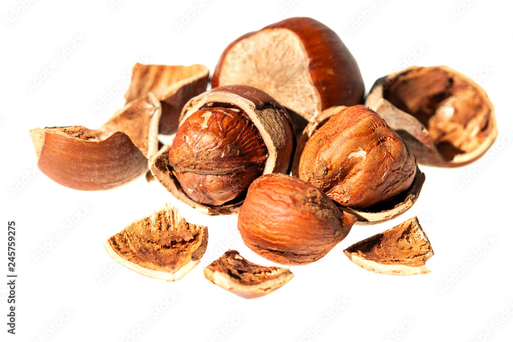 natural hazelnut nut shell isolated on white background natural hazelnut nut shell isolated on white background