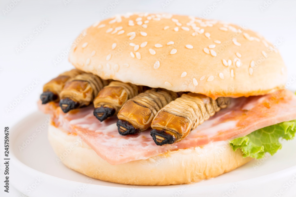Food Insects: Worm beetle or Scarab Beetle for eating as food items in bread burger made of cooked insect meat with vegetable on plate is so rich in protein edible and delicious. Entomophagy concept. Food Insects: Worm beetle or Scarab Beetle for eating as food items in bread burger made of cooked insect meat with vegetable on plate is so rich in protein edible and delicious. Entomophagy concept.