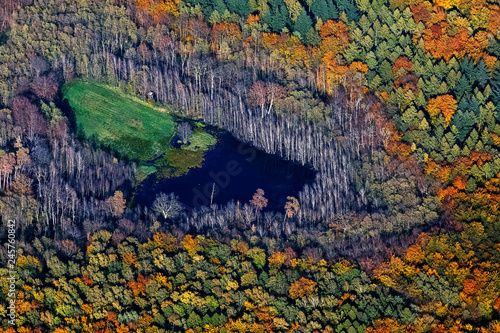 Herbstlandschaft bei Neubrandenburg, Mecklenburg-Vorpommern, Deutschland, Mischwald mit See, Luftbild