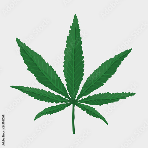 Green Cannabis Leaf. Vector