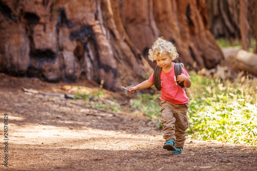 boy visit Sequoia national park in California, USA