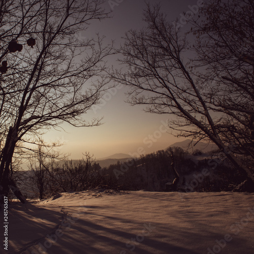 Beautiful, magic landscape; snow and soft sunrise pink light. Nobody around, just peace