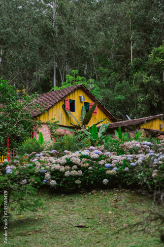 House in the florest