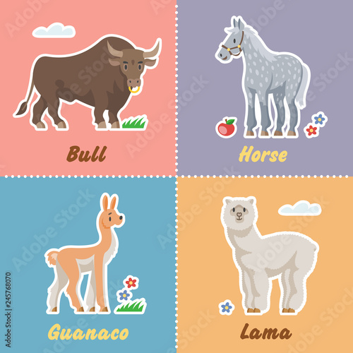  Сartoon set funny farm animals with bull, horse, guanaco and lama. Happy farming pet stickers collection.