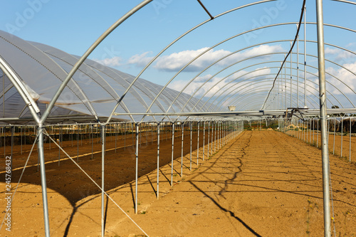 Large industrial greenhouses on a spring day