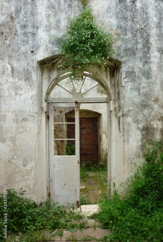 Interior of an abandoned old haunted house without roof with green plants view of wooden broken doors in Corfu island