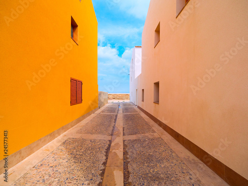 Traditional streetview with color walls in Europe © vitakot