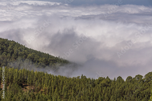Dicke Wolken ziehen über die Kiefernwälder im Gebirge