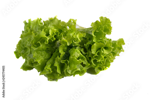 Juicy and green lettuce on white background, The concept of health