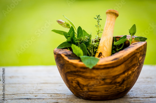 Photography Fresh herbs from the garden in wooden olive mortar against with sunny garden background