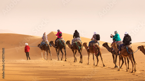 Camels caravan in the dessert of Sahara with beautiful dunes in background. Morocco