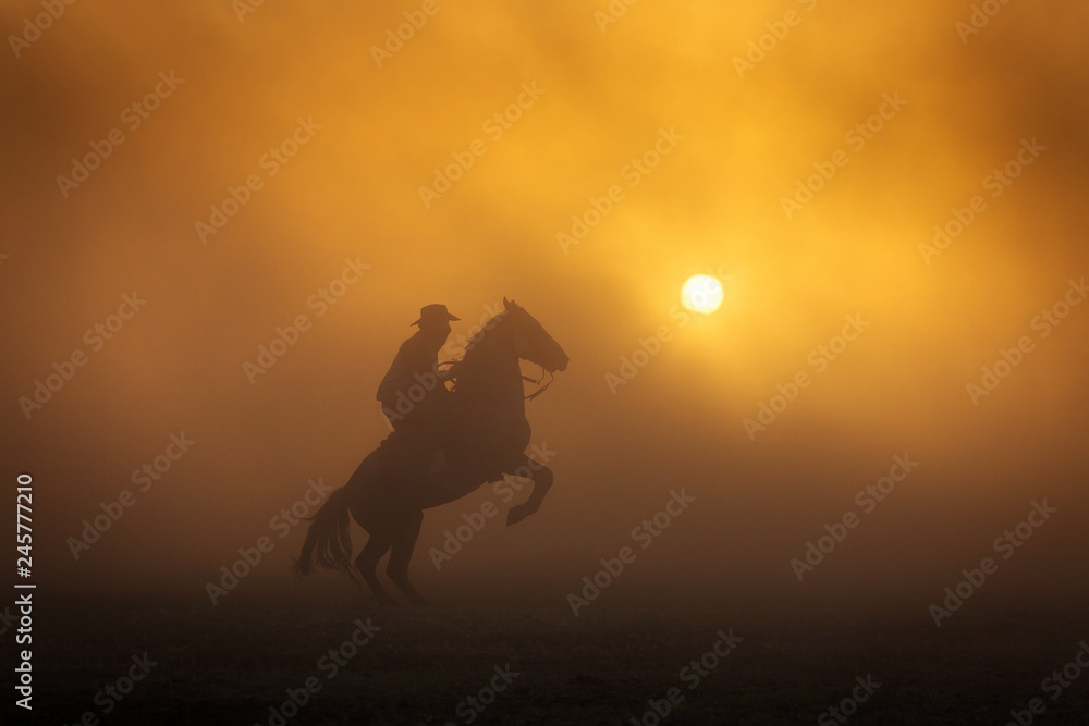 Cowboy puting his horse to stay in two feets at sunset with dust in background