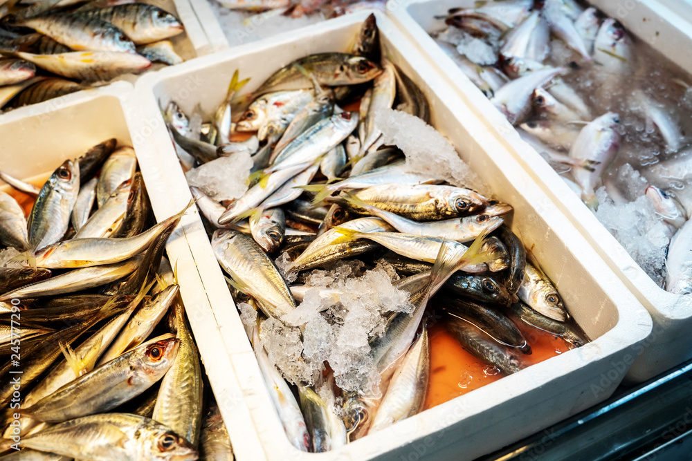 Sliced raw, not cooked fish, lying in the ice on the counter in the supermarket. Fresh fish. Cooled fish fillet o on store shelves Sliced raw, not cooked fish, lying in the ice on the counter in the supermarket. Fresh fish. Cooled fish fillet o on store shelves